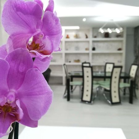 Paradise Apartament Braszów Zewnętrze zdjęcie