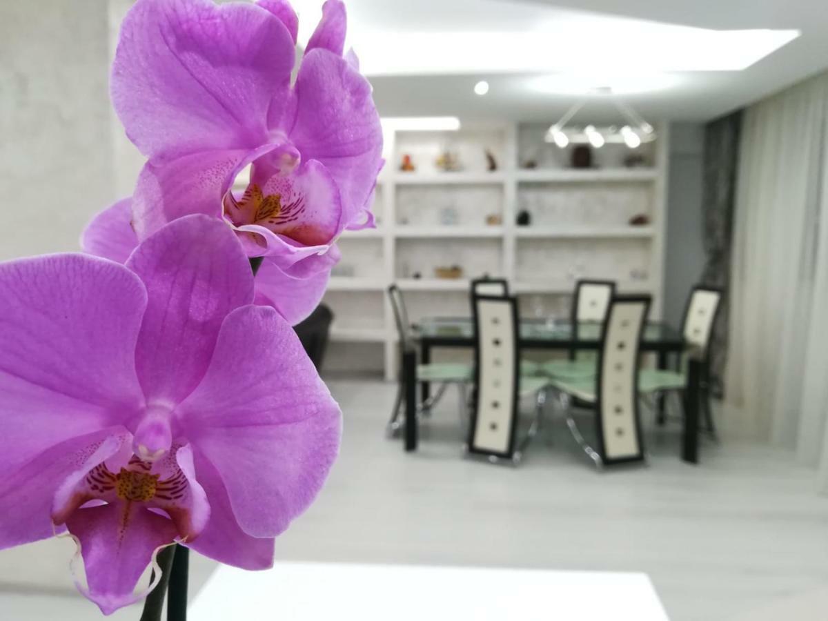 Paradise Apartament Braszów Zewnętrze zdjęcie