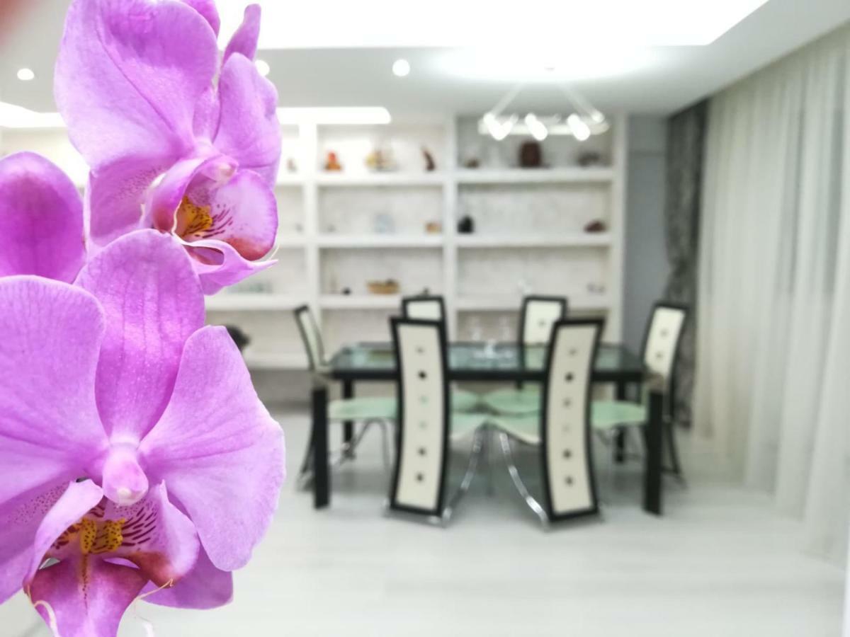 Paradise Apartament Braszów Zewnętrze zdjęcie